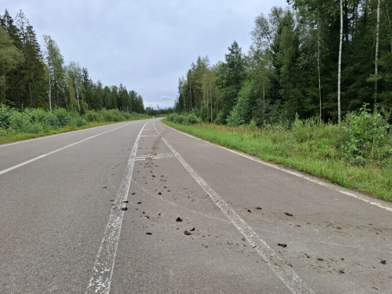 Дорожки в парке Парк Патриот, состояние на 22 августа 2025 по отзыву, фото 5. 